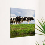 Aluminium paneel met print