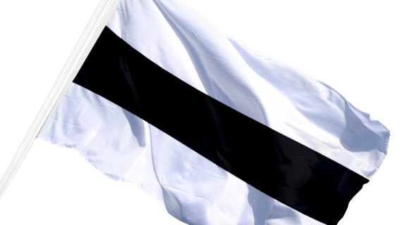 Vlag van Delft