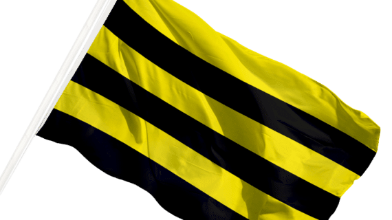 Vlag van Schiedam